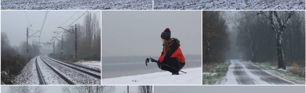 Nordic walking: Łabędy-Jezioro Dzierżno Duże-Łabędy
