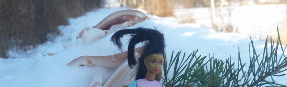Zimowa Barbie na Nikiszu