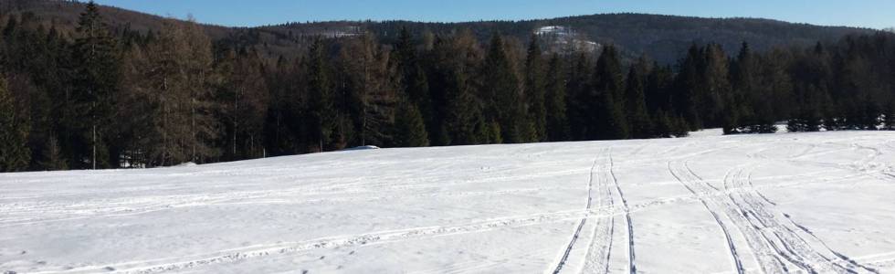 Dwa w jednym: narty zjazdowe i skitoury w Wierchomli