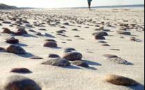 Plaża usłana kamieniami