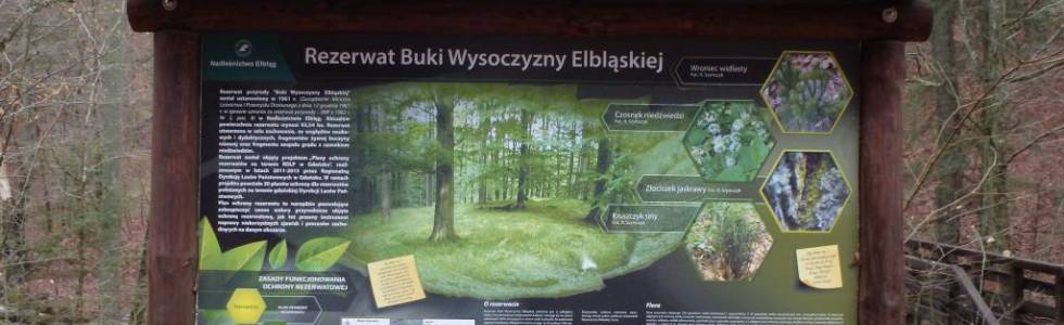 Rezerwat Buki Wysoczyzny Elbląskiej ver. 2016
