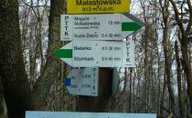 Magura Małastowska 813 m n.p.m