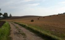 Sierpniowy widok pola w Klępinach