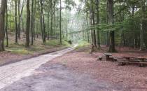Skrzyżowanie ścieżek w lesie Sobowidzkim