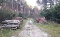 lasy koło Ulkowa