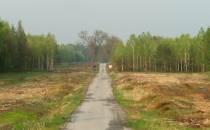 Asfaltowa droga w lesie Barchańska