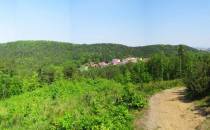 Leśna panorama 6