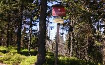 Rezerwat Przyrody Barania Góra na Wierchu Wisełka