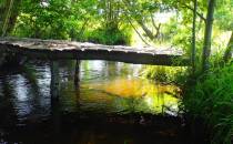 Drewniany mostek i łąka w sam raz na piknik