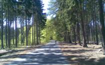 leśna droga w kierunku Karłowa