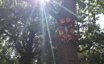 Kapliczka na drzewie