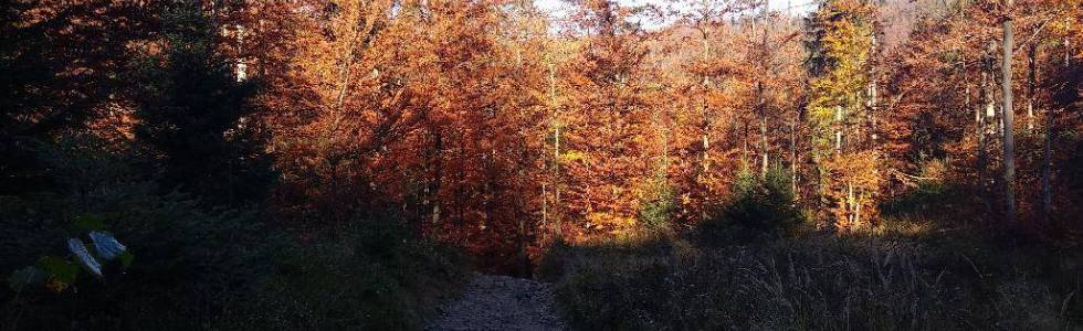 Barania Góra jesienią