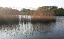 Jezioro Juszkowickie