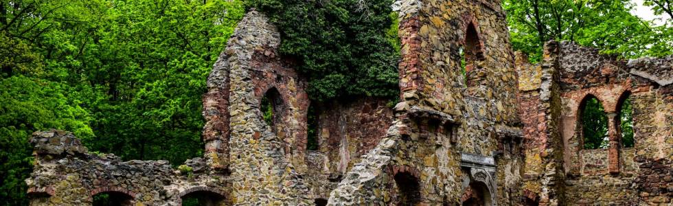 Stary Książ - ruiny zamku