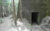 bunkry w Mamerkach