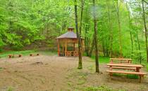 Leśne miejsce piknikowe nad Kamienicą