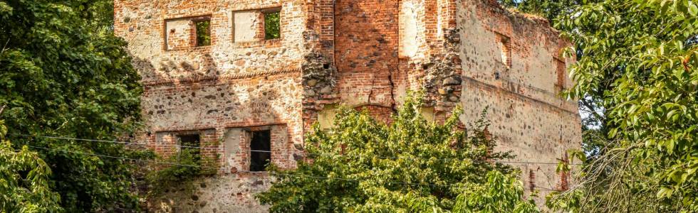 Ruiny zamku w Borowie Polskim