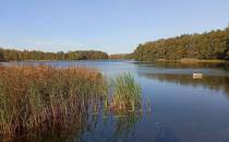 Jezioro Borowno