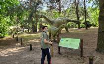 Park Dinozaurów oraz Farma Grzybów i Owadów