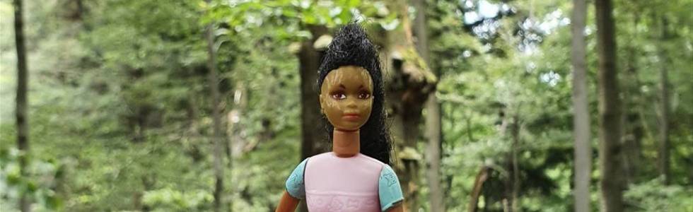 Barbie na Sanie